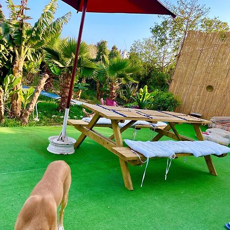 Surf & Salsa Ocean House Bed & Breakfast Tamraght Екстериор снимка