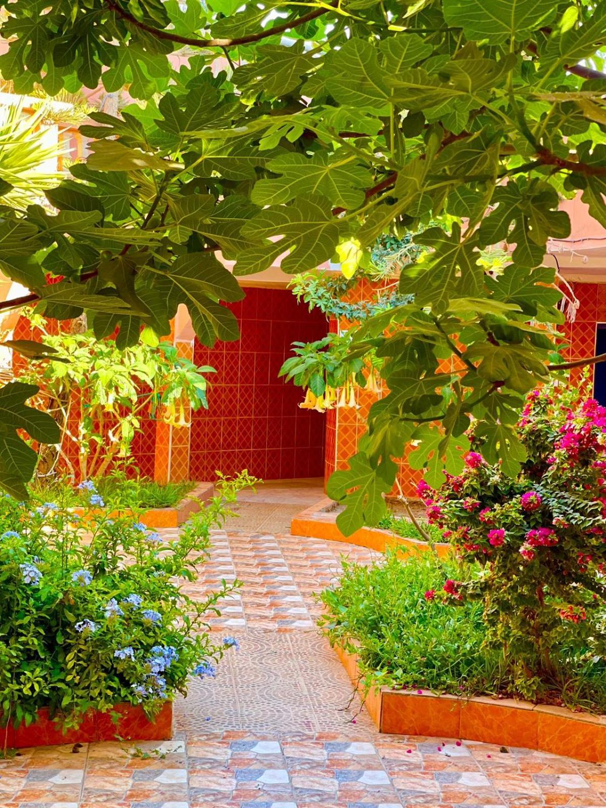 Surf & Salsa Ocean House Bed & Breakfast Tamraght Екстериор снимка