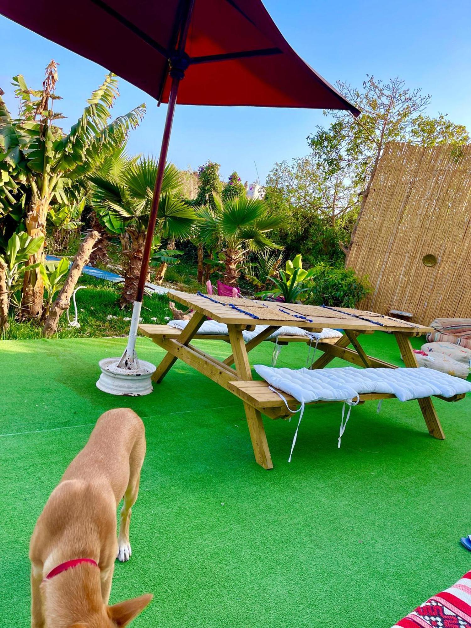 Surf & Salsa Ocean House Bed & Breakfast Tamraght Екстериор снимка
